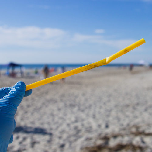 Citizen Science Plastic Litter