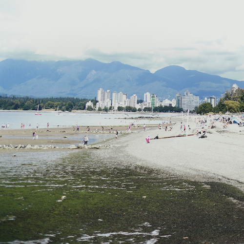 Canadian Shoreline Plastics